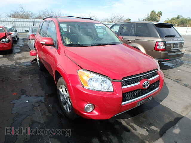 Фотография 2T3YF4DV5BW101824 - TOYOTA RAV4 2011