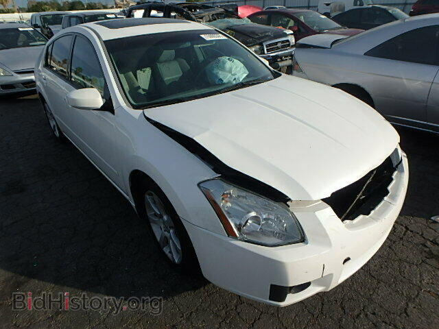 Photo 1N4BA41E37C804041 - NISSAN MAXIMA 2007
