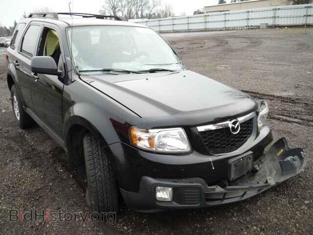 Фотография 4F2CZ02729KM01841 - MAZDA TRIBUTE 2009
