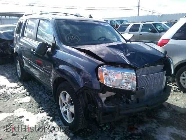 Фотография 5FNYF48599B031867 - HONDA PILOT 2009