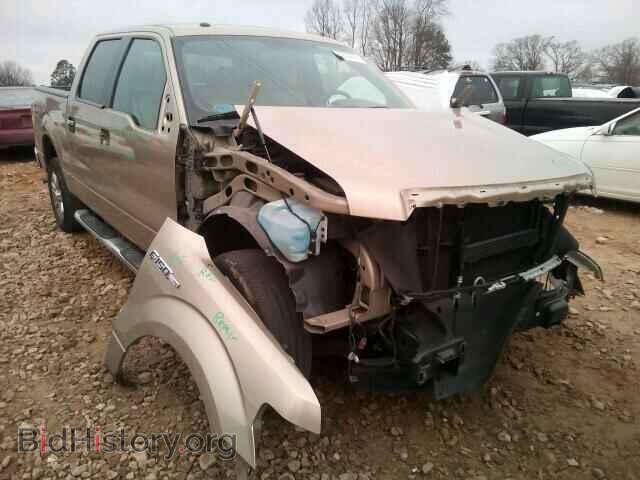 Фотография 1FTFW1CF9DFB26293 - FORD F150 2013