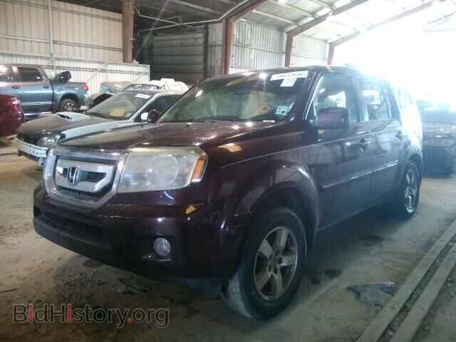 2010 HONDA PILOT - VIN: 5FNYF3H44AB013752 - Фото 2