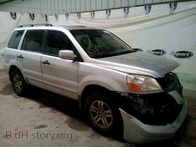 Фотография 5FNYF18655B006899 - HONDA PILOT 2005