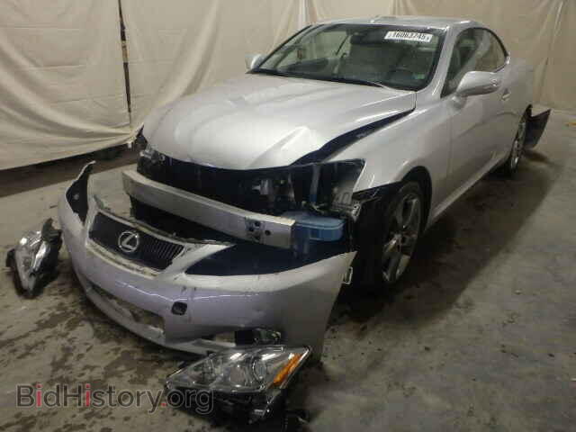 2010 LEXUS IS250 - VIN: JTHFF2C29A2512975 - Фото 2