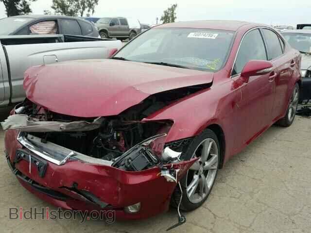 2010 LEXUS IS250 - VIN: JTHBF5C2XA5127911 - Фото 2