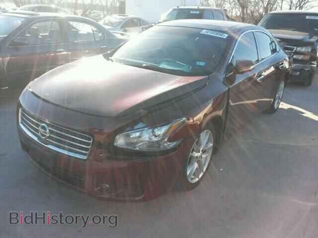 2009 NISSAN MAXIMA - VIN: 1N4AA51E59C860924 - Фото 2