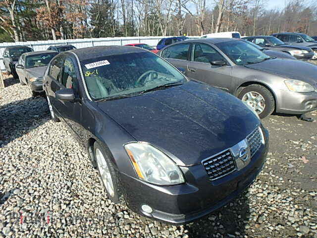 Фотография 1N4BA41E66C838456 - NISSAN MAXIMA 2006
