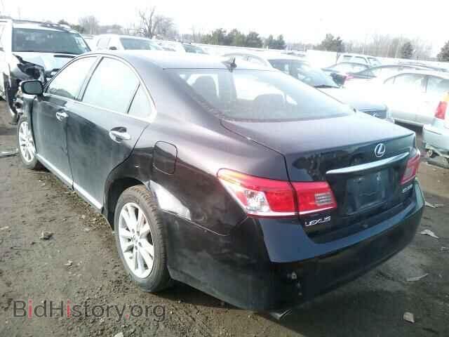 2010 LEXUS ES350 - VIN: JTHBK1EG7A2399783 - Фото 3