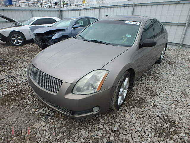 2006 NISSAN MAXIMA - VIN: 1N4BA41E46C839105 - Фото 2