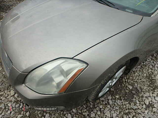 2006 NISSAN MAXIMA - VIN: 1N4BA41E46C839105 - Фото 10