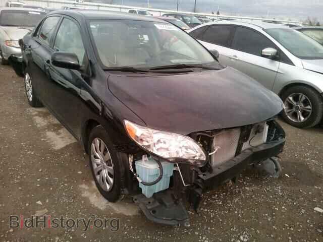 Photo 5YFBU4EE7CP046556 - TOYOTA COROLLA 2012