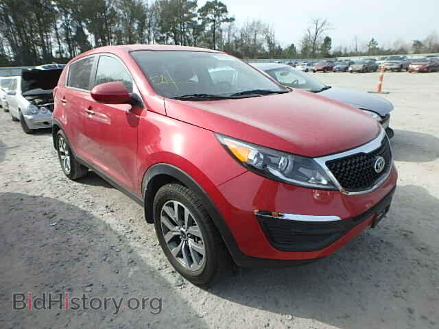 Фотография KNDPB3AC4E7599700 - KIA SPORTAGE 2014