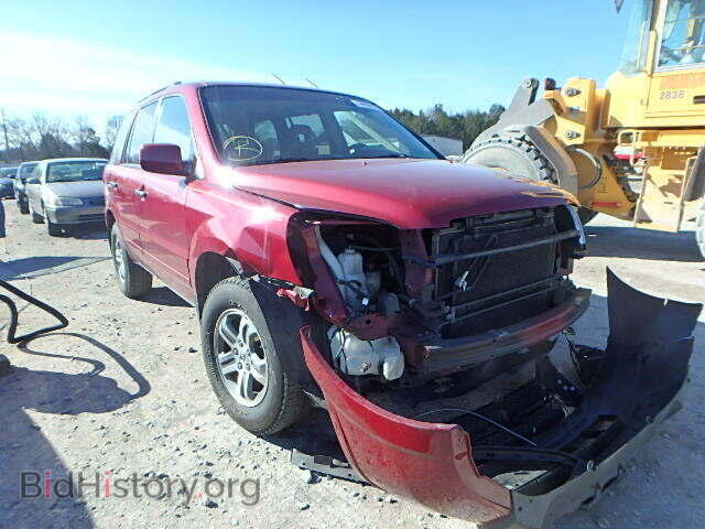 Фотография 5FNYF18695B018425 - HONDA PILOT 2005