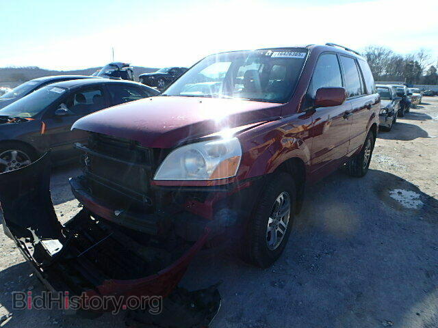 2005 HONDA PILOT - VIN: 5FNYF18695B018425 - Фото 2
