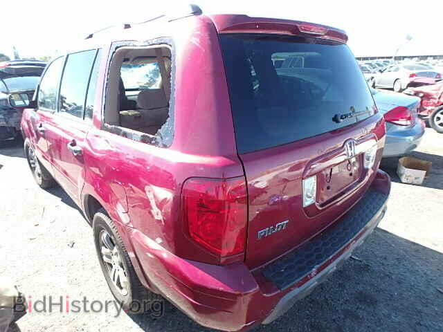 2005 HONDA PILOT - VIN: 5FNYF18495B062276 - Фото 3