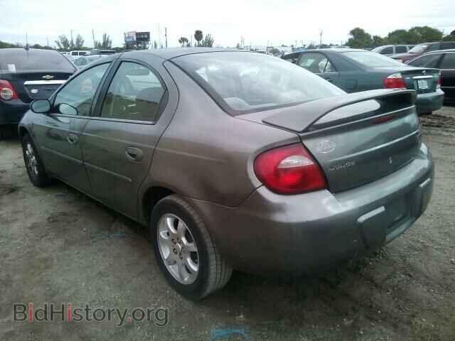 2005 DODGE NEON - VIN: 1B3ES56C75D198317 - Фото 3