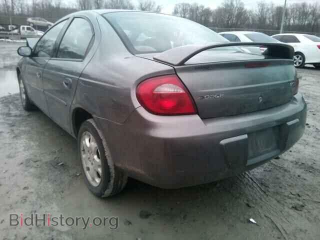 2005 DODGE NEON - VIN: 1B3ES56C15D288286 - Фото 3
