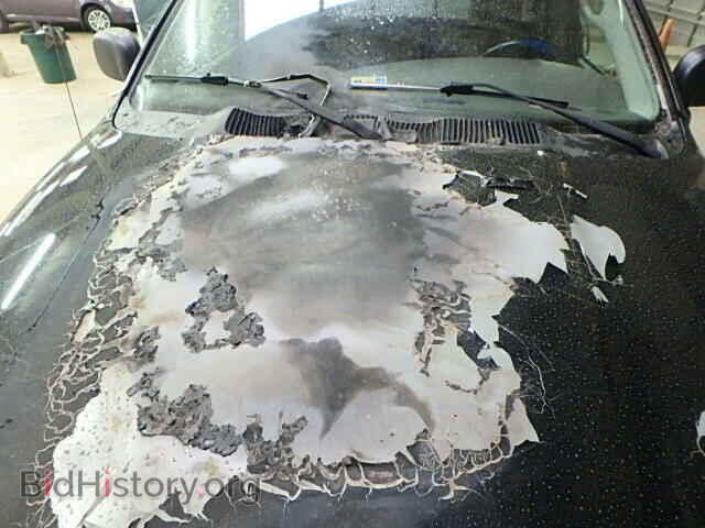 2003 DODGE RAM 1500 - VIN: 1D7HA16D23J583496 - Фото 10