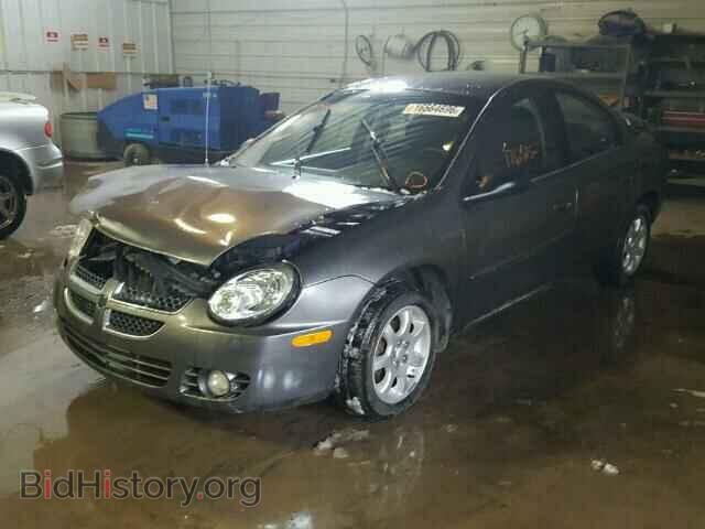 2004 DODGE NEON - VIN: 1B3ES56C54D593157 - Фото 2