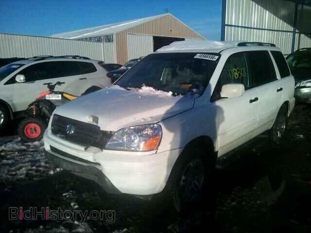 2005 HONDA PILOT - VIN: 5FNYF18525B053802 - Фото 2