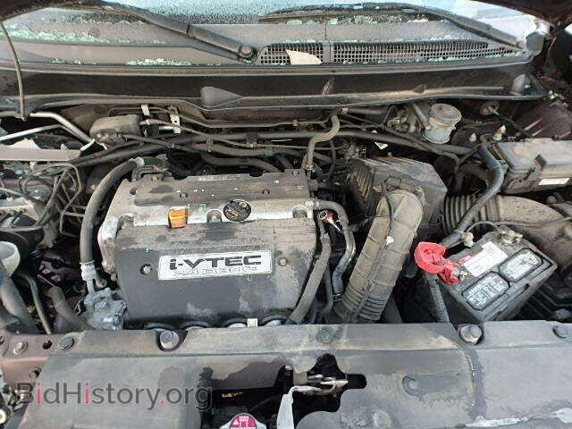 2007 HONDA ELEMENT - VIN: 5J6YH18947L012031 - Фото 7