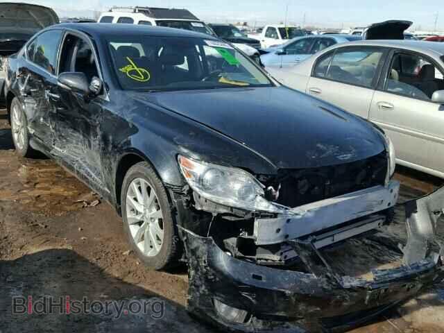 Фотография JTHCL5EF1C5013439 - LEXUS LS460 2012
