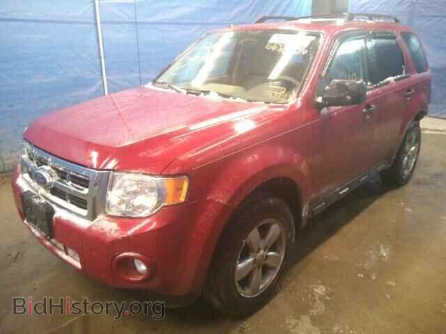 2011 FORD ESCAPE - VIN: 1FMCU9DG5BKA13410 - Photo 2