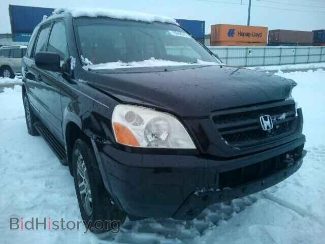 Фотография 5FNYF18555B035178 - HONDA PILOT 2005