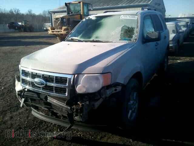 2009 FORD ESCAPE - VIN: 1FMCU03799KC84784 - Фото 2