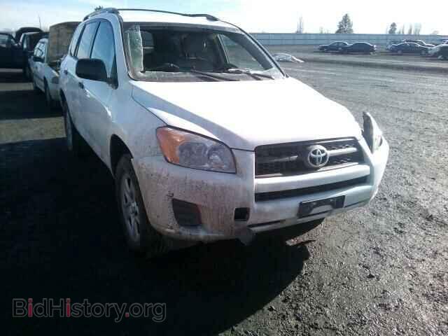 Фотография 2T3BF4DV9BW119779 - TOYOTA RAV4 2011