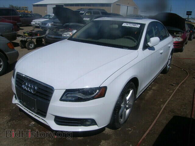 2010 AUDI A4 - VIN: WAUFFAFL1AN035275 - Фото 2