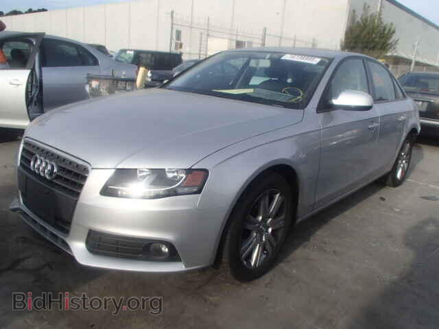 2010 AUDI A4 - VIN: WAUAFAFL8AN015146 - Фото 2