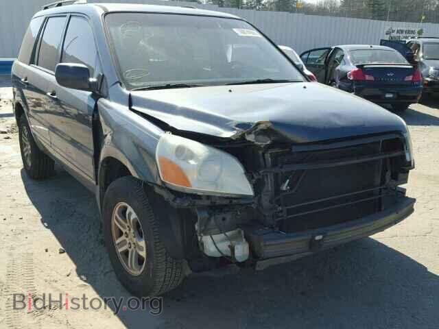 Фотография 5FNYF18425B025554 - HONDA PILOT 2005