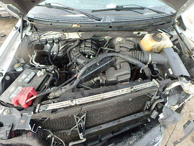 2013 FORD F150 - VIN: 1FTMF1CM8DKE00905 - Фото 7