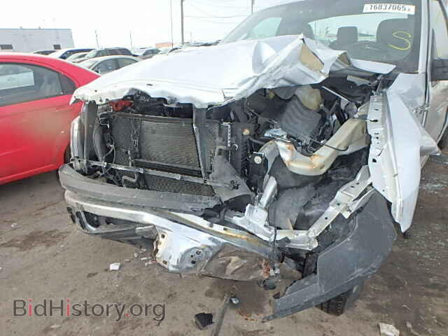 2013 FORD F150 - VIN: 1FTMF1CM8DKE00905 - Фото 10