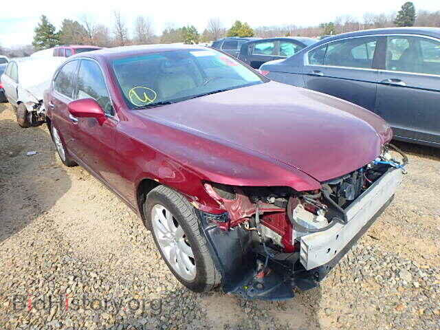 Photo JTHBL46FX75010145 - LEXUS LS460 2007