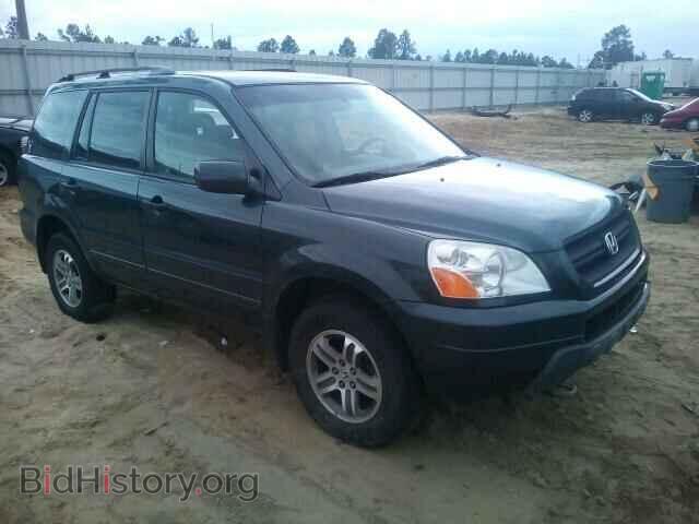 Фотография 5FNYF18445B017794 - HONDA PILOT 2005