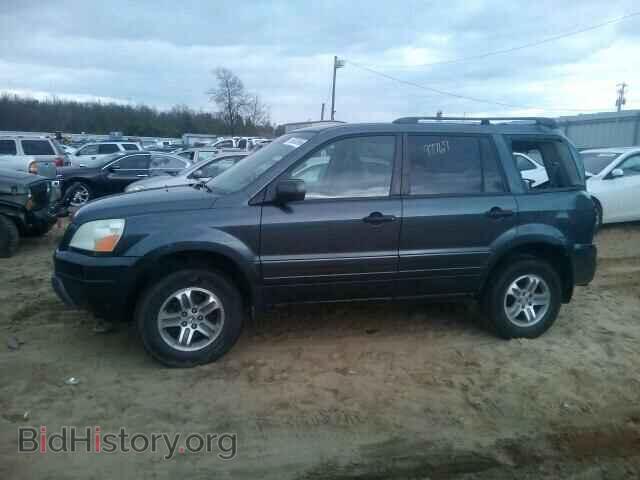 2005 HONDA PILOT - VIN: 5FNYF18445B017794 - Фото 10