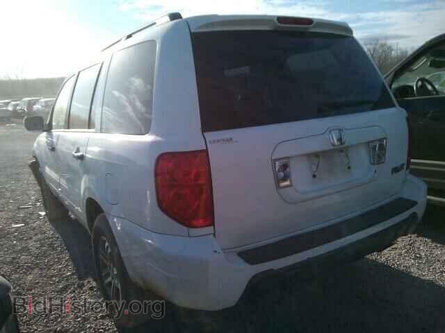 2005 HONDA PILOT - VIN: 5FNYF18595B040657 - Фото 3