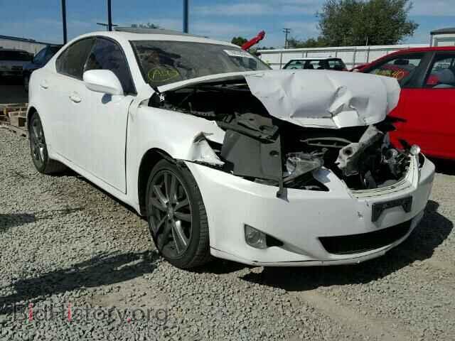 Фотография JTHBK262285062696 - LEXUS IS250 2008
