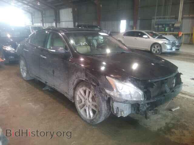 Фотография 1N4AA5AP5AC856376 - NISSAN MAXIMA 2010