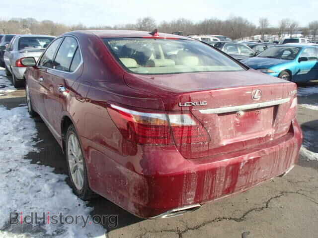 2010 LEXUS LS460 - VIN: JTHCL5EF6A5005740 - Фото 3