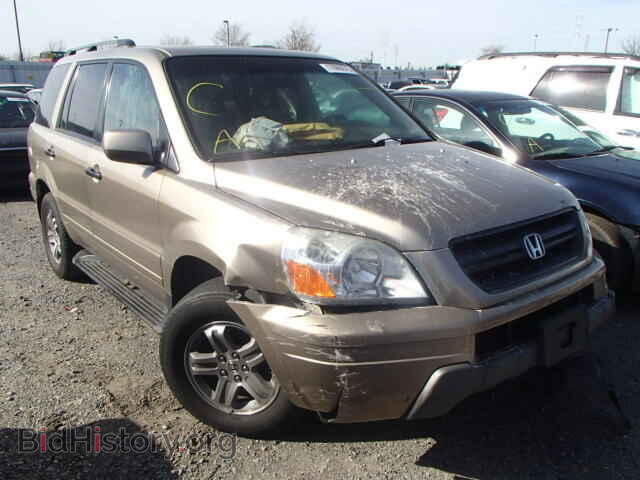 Фотография 2HKYF18775H555210 - HONDA PILOT 2005