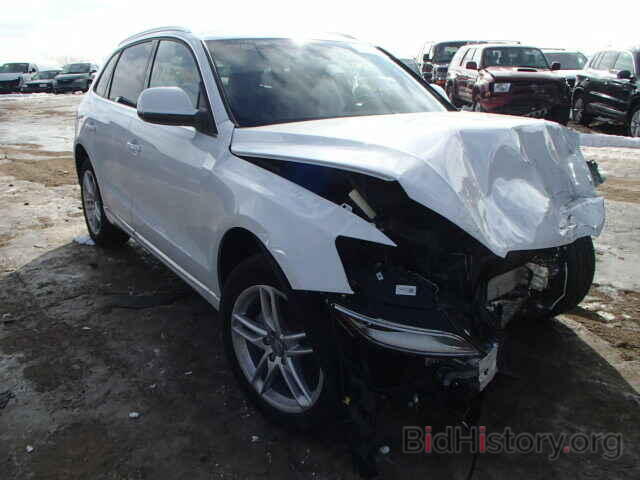 Photo WA1LFAFP4DA046687 - AUDI Q5 2013