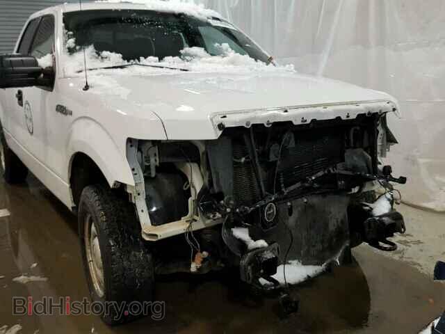 2011 FORD F150 - VIN: 1FTFX1EF1BFB04201 - Фото 9
