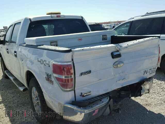 2011 FORD F150 - VIN: 1FTFW1EF1BKD43371 - Фото 3