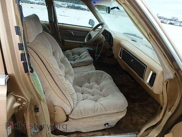 1987 CHRYSLER ALL OTHER - VIN: 1C3BF66P9HX802326 - Фото 5