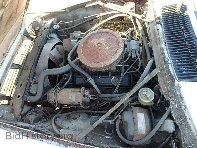 1979 JAGUAR XJS - VIN: JNVEV49C104022 - Фото 7