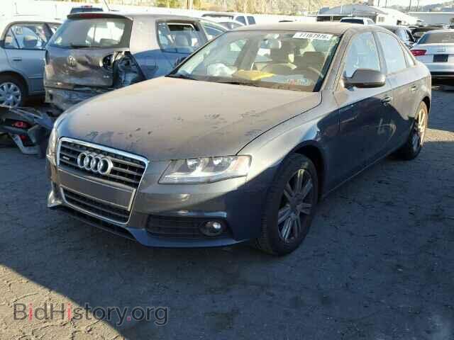 2010 AUDI A4 - VIN: WAUBFAFL2AN004860 - Фото 2