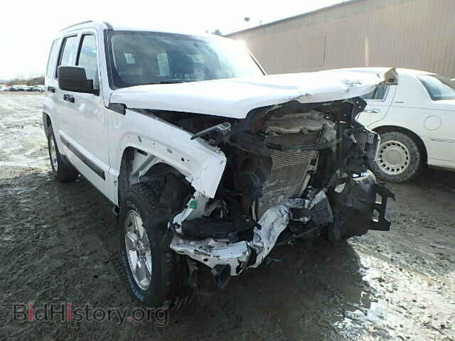 Фотография 1J4PN2GK1BW595647 - JEEP LIBERTY 2011